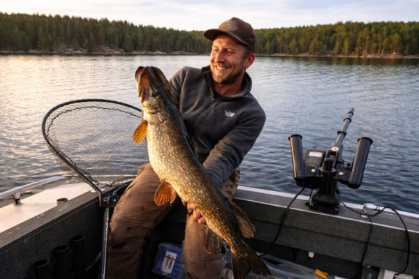 Angel fisch till am see