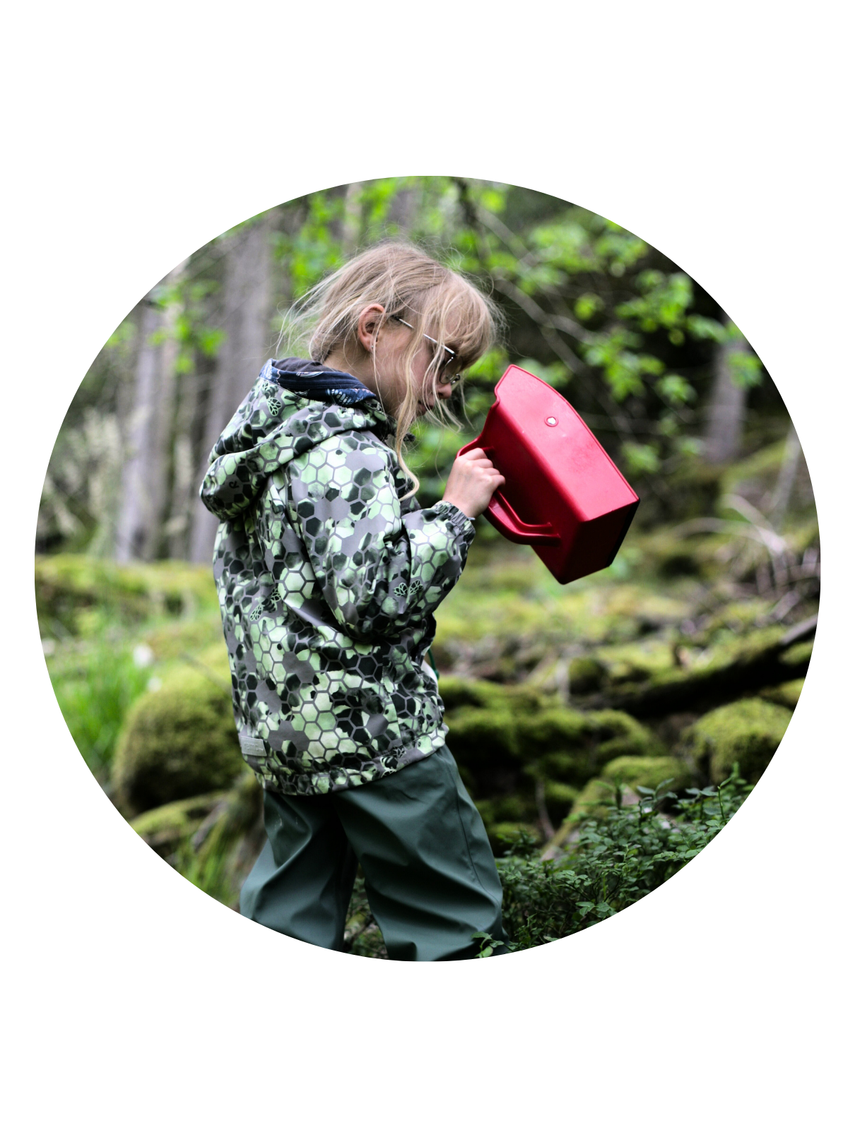 Frieda auf Beerensuche