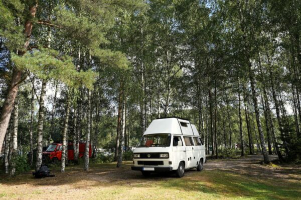 Oldtimer unter Briken